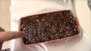 Pemmican  my choice for winter survival food [upl. by Yrahcaz]