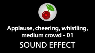 🎧 Applause cheering whistling medium crowd  01 SOUND EFFECT [upl. by Ecilahc962]