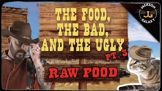 Cat Nutrition The Food The Bad amp The Ugly Part 3 Raw Food [upl. by Aicitel]