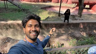 Hyderabad Zoo Park 🐅  Nehru Zoological Park  Complete Tour  Open Bus lion safari [upl. by Baudoin]