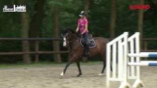 Training mit Markus Beerbaum Teil 1 [upl. by Wj]