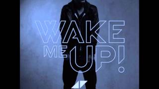 Avicii  Wake me up Speed up [upl. by Fernand]