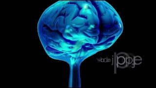 CSF Circulation  Physiology  Formation Properties Hydrocephalus CNS Physiology  Neuroanatomy [upl. by Wettam]