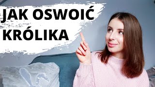 JAK OSWOIĆ KRÓLIKA [upl. by Alyakem]