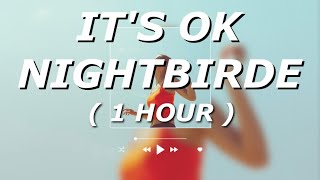 NIGHTBIRDE  Its Okay Lyrics 1 HOUR LOOP  simplyvida [upl. by Sabino]