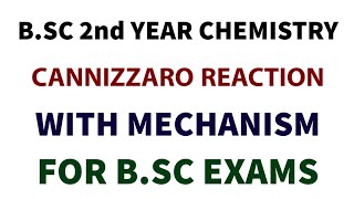 Cannizzaro Reaction With Mechanism  BSC 2nd Year Organic Chemistry  Aldehydes and Ketones [upl. by Arocahs]