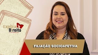 Explica Direito Filiação Socioafetiva  2019 [upl. by Stanleigh]