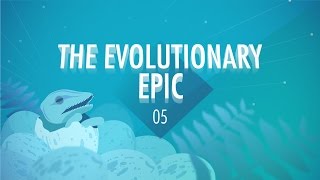 The Evolutionary Epic Crash Course Big History 5 [upl. by Mcmahon302]