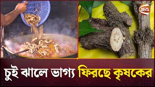 চুই ঝাল চাষে আগ্রহ বেড়েছে কৃষক ও ব্যবসায়ীদের  Chui Jhal  Channel 24 [upl. by Miah372]