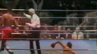 Lennox Lewis Knockouts amp Highlights [upl. by Ainomar]