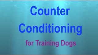 Counter Conditioning a Visual Explanation [upl. by Auhsej]