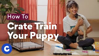 How To Crate Train a Puppy  Chewtorials [upl. by Channing]