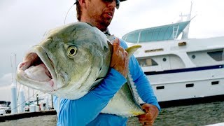 Fishing for Inshore MONSTERS by the Docks [upl. by Amimej347]