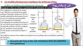 un modèle physique pour expliquer les échanges deau  expériences de Dutrochet شرح بالداريجة [upl. by Gracie]