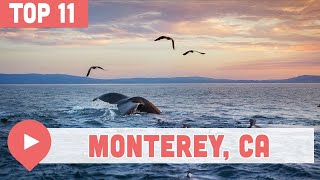 11 Best Things to Do in Monterey California [upl. by Osnofedli]