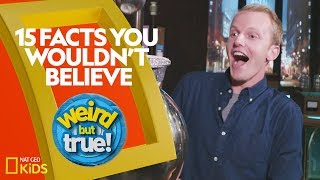 15 Facts You Wouldn’t Believe  Weirdest Bestest Truest [upl. by Wiles]