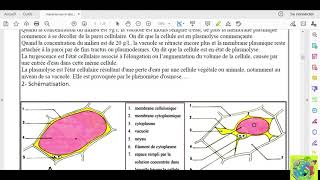 Partie 02 absorption de leau et les sels minéraux chez les plantes chlorophylliennes osmose [upl. by Anawek]