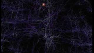 Neurons and how they work [upl. by Ayidah]