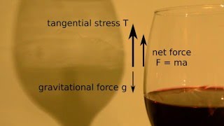 Why does wine cry An example of the Marangoni effect [upl. by Doraj]