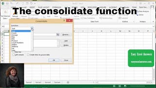 How to use the consolidate function in Excel [upl. by Wernick]