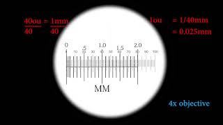 Cell Bio Micrometers [upl. by Nnarual481]