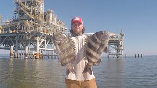 Sheepshead Fishing Mobile Bay Rigs [upl. by Rome310]