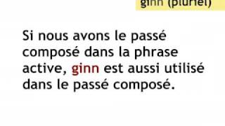 Le Passif Leçon de luxembourgeois [upl. by Nyrac]