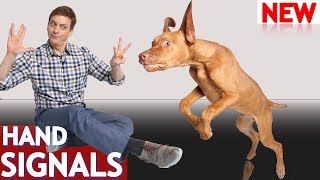 How to Teach Your Dog Hand Signals [upl. by Rednaxela]