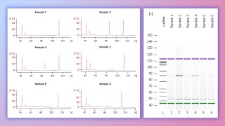 Forensic DNA Profiling Part 2 [upl. by Danziger]