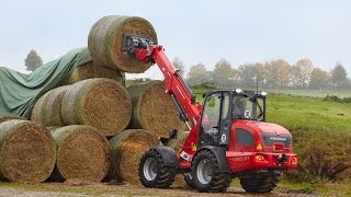 Weidemann – Teleskopradlader 4080LPT Einsatz in der Landwirtschaft [upl. by Johannah258]