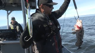 Garibaldi OR Lingcod Rockfish amp Crab [upl. by Shwalb]