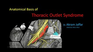 Anatomical Basis of Thoracic Outlet Syndrome [upl. by Aivax]