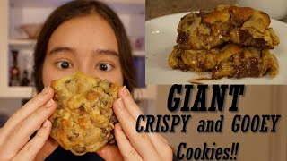 Famous Levain Bakery Gooey Chocoate Chip Walnut Cookie Recipe [upl. by Eiahpets]