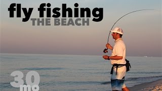 Fly Fishing the Beach  Jack Crevalle amp Ladyfish  Fort Pickens State Park Florida [upl. by Anjela10]