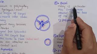 placentation and its types in plants  class bsc Botany [upl. by Nesbitt]