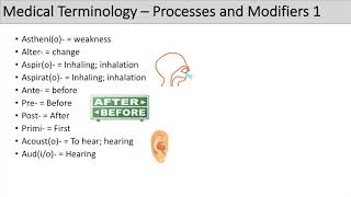 Medical Terminology  The Basics  Lesson 5 [upl. by Novihc]