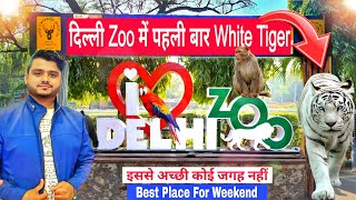 Wonderful Day In Delhi Zoo  National Zoological Park Delhi  Delhi Ka Chidiyaghar  Ghumakkad Joshi [upl. by Aseret]