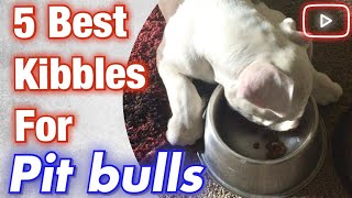 5 best kibbles for pit bulls that are affordable [upl. by Trainer]