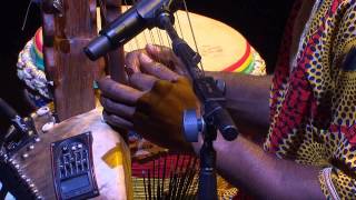 The Griot tradition of West Africa  Sibo Bangoura  TEDxSydney [upl. by Alor989]