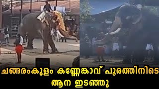 കണ്ണേങ്കാവിൽ ആന ഇടഞ്ഞു KANNENKAVU POORAM 2025 [upl. by Millwater]