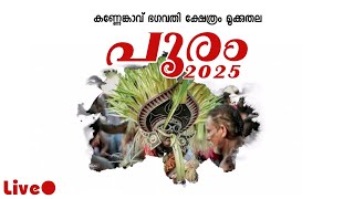 KANNENKAVU POORAM 2025 LIVE  Mookkuthala Live [upl. by Sholeen]