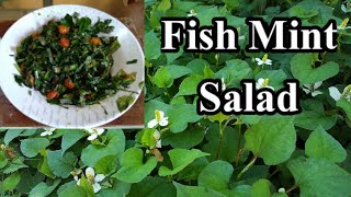 Houttuynia Cordata Salad  How To Make Fish Mint Salad [upl. by Duj]