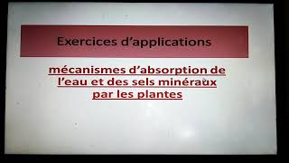 exercices mécanismes dabsorption de leau et des sels minéraux chez la plante [upl. by Linus]