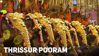 Thrissur Pooram  A Feast for the Eyes  360° Experience  Temple Festivals  Kerala Tourism [upl. by Nrubliw]