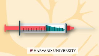 How mRNA vaccines work [upl. by Rudyard]