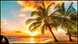 Island Reggae Music  Upbeat Tropics  Tropical Island Beach Music [upl. by Araccat]