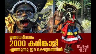 ഉത്സവദിവസം 2000 കരിങ്കാളി എത്തുന്നു ഈ ക്ഷേത്രത്തിൽ [upl. by Ahsilif967]