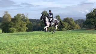 Bicton Arena International Horse Trials 2022  Cross Country Day BE903DE [upl. by Dreddy745]