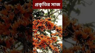 Abohar Khabar  আবহাওয়ার খবর আজকের [upl. by Jordain922]