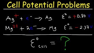 Cell Potential Problems  Electrochemistry [upl. by Loella]